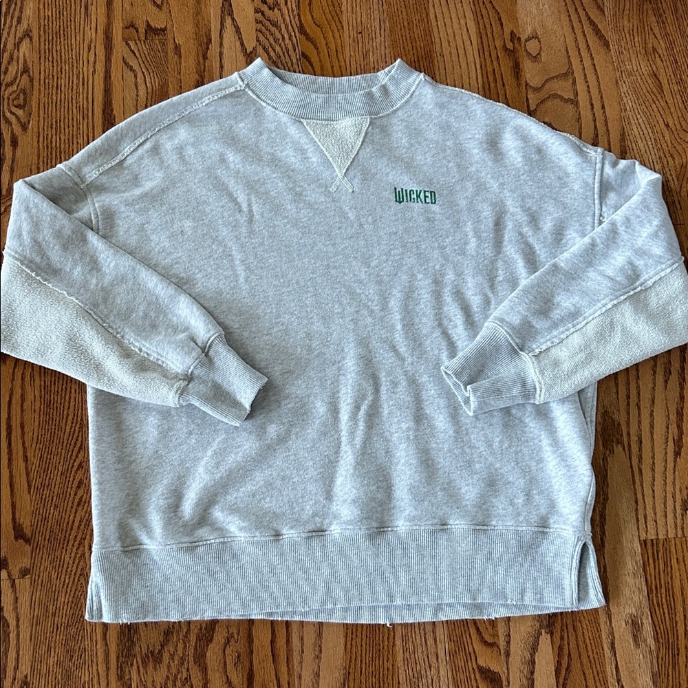 AERIE×Wicked Big Chill Oversized Crew Sweatshirt XS